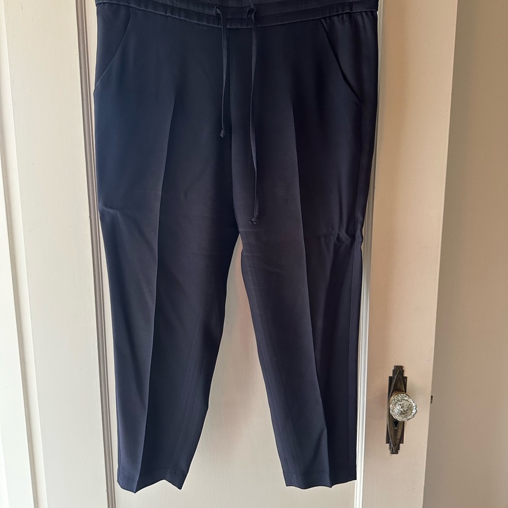 Ann Taylor Navy Cropped Pants